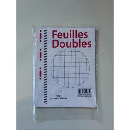 Feuilles Simple et double 17x22 et A4 blanches perforées grand carreaux 17x22